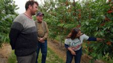 S2 E7: Cherries in Michigan