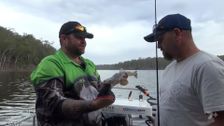 S2 E7: Lakes Entrance Prawns and Lake Tyers
