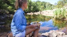 S1 E1: Outback Gourmet
