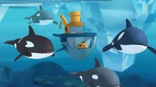 S1 E37: The Arctic Orcas