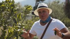 S6 E2: My Greek Odyssey