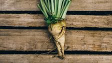 S15 E18: Sugar Beets, Feather Dusters and Balloons
