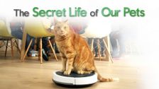 The Secret Life of Our Pets
