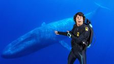 S1 E1: Andy and the Blue Whale