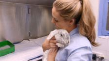 S9 E7: Bondi Vet: Coast to Coast