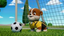 S13 E4: Pups Save a Hum-Kicker; Pups Save the One-Man Band