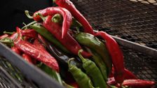 S1 E4: Chiles in New Mexico