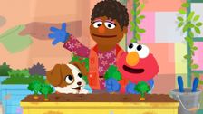 S1 E11: Where's Gopher