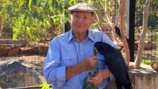S24 E15: Better Homes and Gardens