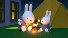 S1 E8: A Special Secret Campout
