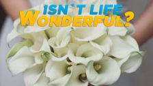 Isn't Life Wonderful?