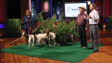 S5 E5: Shark Tank