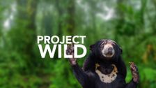 Project Wild