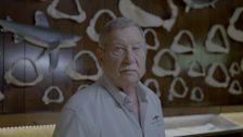 S1 E3: Killers of the Deep