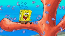 S11 E3: Cave Dwelling Sponge; The Clam Whisperer