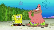 S13 E20: Arbor Day Disarray; Ain't That the Tooth