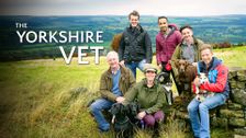 The Yorkshire Vet