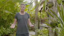 S3 E8: House of Wellness