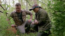 S2 E2: Mushrooms in Pennsylvania