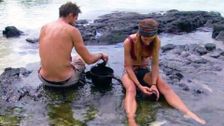 S3 E24: Australian Survivor