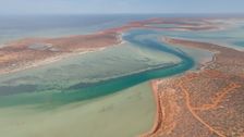 S6 E9: Western Australia Shark Bay