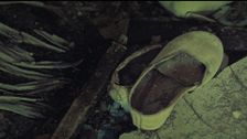 S1 E3: Sacrifice