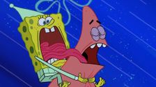 S10 E11: Feral Friends; Don't Wake Patrick!