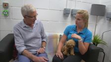 S7 E5: Paul O'Grady: For the Love of Dogs