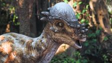 S1 E12: Andy and the Dino Tree Mystery
