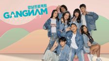 Gangnam Project