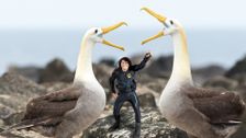 S2 E3: Andy and the Waved Albatross