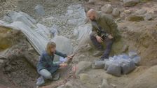 S13 E17: The Missing Links