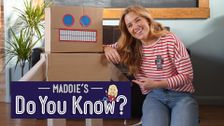 Maddie's Do You Know?