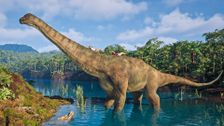 S1 E3: Andy and the Alamosaurus
