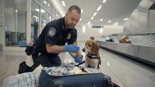 S1 E1: Airport Security USA