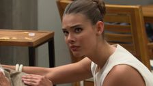 S2026 E217: The Bold and the Beautiful
