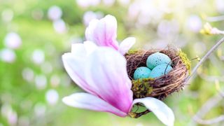 ABC News at Easter