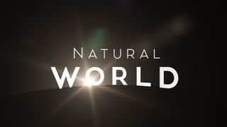 Natural World