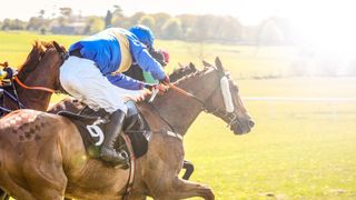 Flashback - Turnbull Stakes