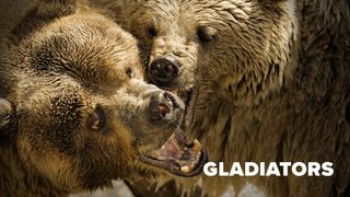Gladiators