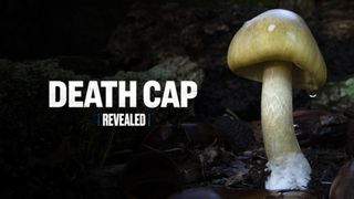 Revealed: Death Cap Murders