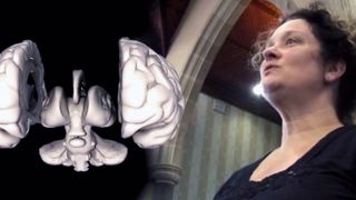 Music of the Brain