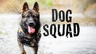 Dog Squad