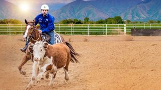 Gold Buckle Campdrafting