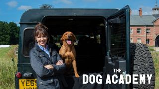 Bad Dog Academy