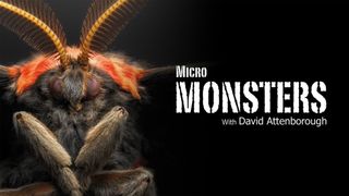 Micro Monsters With David Attenborough