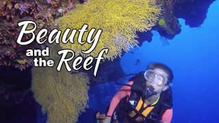 Beauty and the Reef