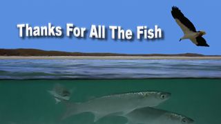 Thanks For All The Fish