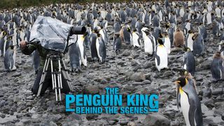 The Penguin King: Behind the Scenes