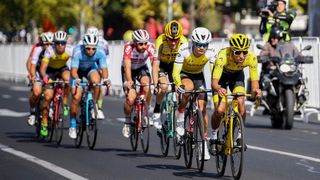 Tour De France: Stage Replay